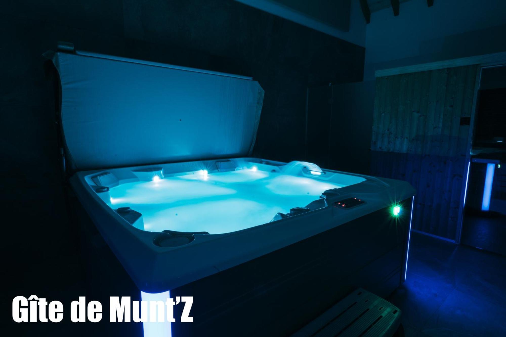 Gite De Munt'Z Spa, Sauna, Piscine, Proche De Colmar Muntzenheim Luaran gambar